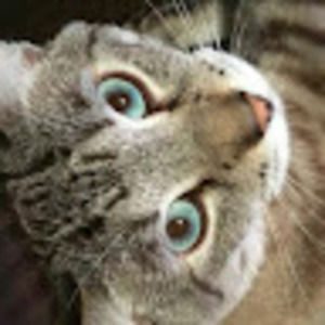 Meet your Posher, Katherine